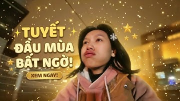 Sự Thật Về TUYẾT ĐẦU MÙA Hàn Quốc: Đẹp Nhưng LẠNH "Cóng Tay" ❄️