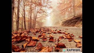 Kimi Sevdik Eller Aldı.