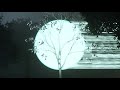 Miniature de la vidéo de la chanson Tranquil Moon