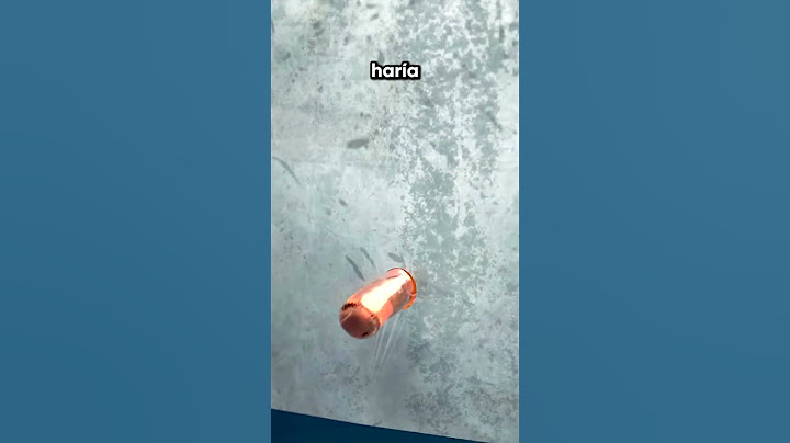 What Happens If You Shoot a Car's Tank?