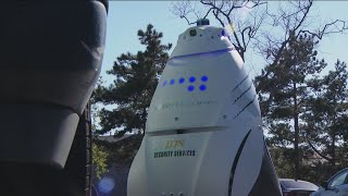 Some are outsourcing security guard labor to robots