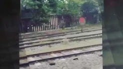 Train to Mojokerto (To buy Donat O'Telo) - Durasi: 0.39. 