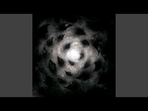 Pale Creation