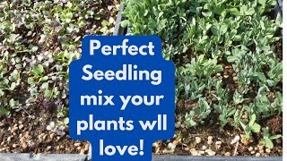 Perfect Seedling Mix Your Plants Will Love!