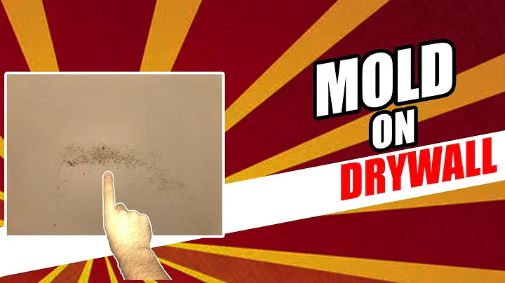 Mold on Drywall - Should You Be CONCERNED?