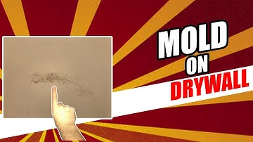 Mold on Drywall - Should You Be CONCERNED?