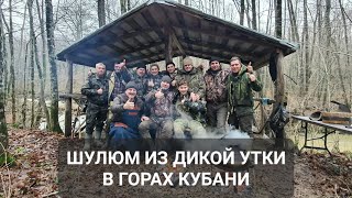 ШУЛЮМ ИЗ ДИКОЙ УТКИ В ГОРАХ КУБАНИ НА ОГРОМНОМ АФГАНСКОМ КАЗАНЕ. ОХОТА НА ЗВЕРЯ В РОССИИ.