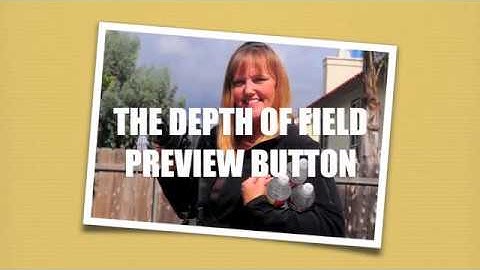 Depth Of Field Preview Button Exercise
