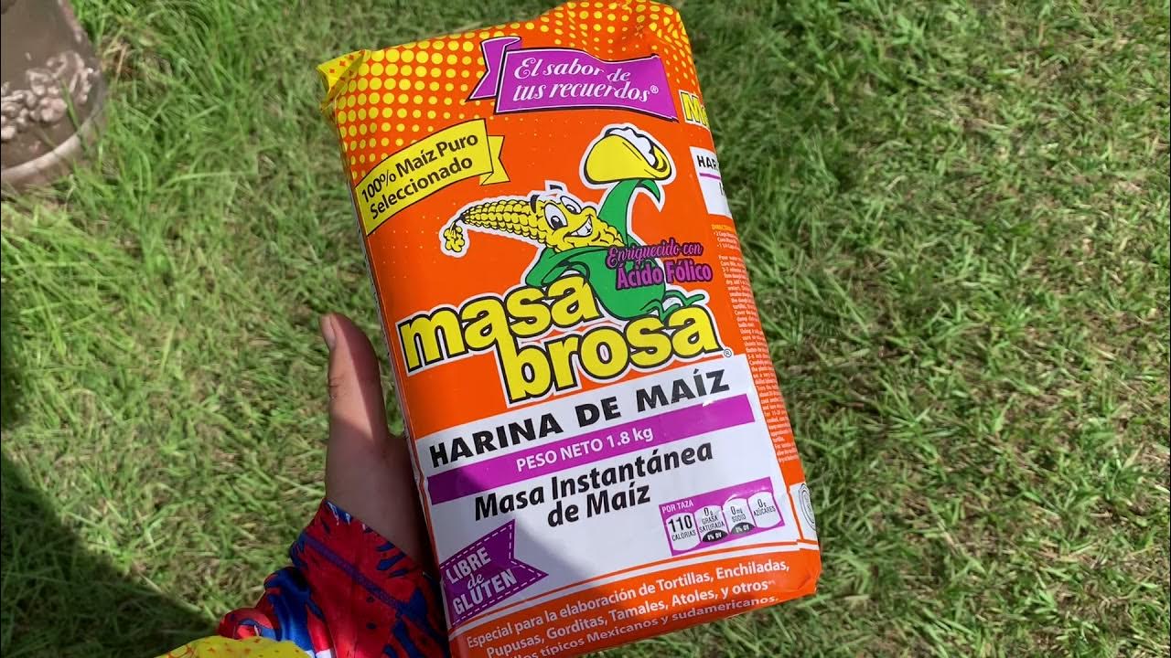 Using cornmeal to kill fire ants YouTube