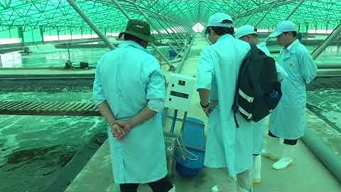 Lắp đặt thiết bị quan trắc online môi trường nước ao nuôi tôm tại Bạc Liêu