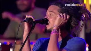 Soja - I Don't Wanna Wait (Live at Woodstock 2013)