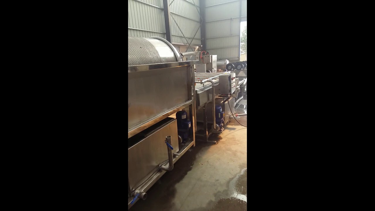 automatic fruit washing line/olive washer dryer/raisin apricot cleaning