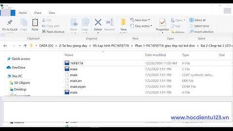 PIC|Phần 1.1-PIC16F877A giao tiếp chớp tắt 2 LED đơn/PIC with LED