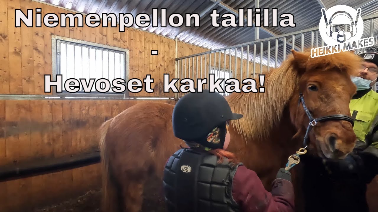 Niemenpellon tallilla - hevoset karkaa