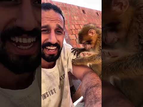 ياسلام علي الاشكال اللي تفتح النفس 🤣