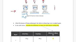 109 Lab: Osmosis & Diffusion