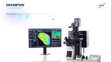 5. An Interface That Adapts