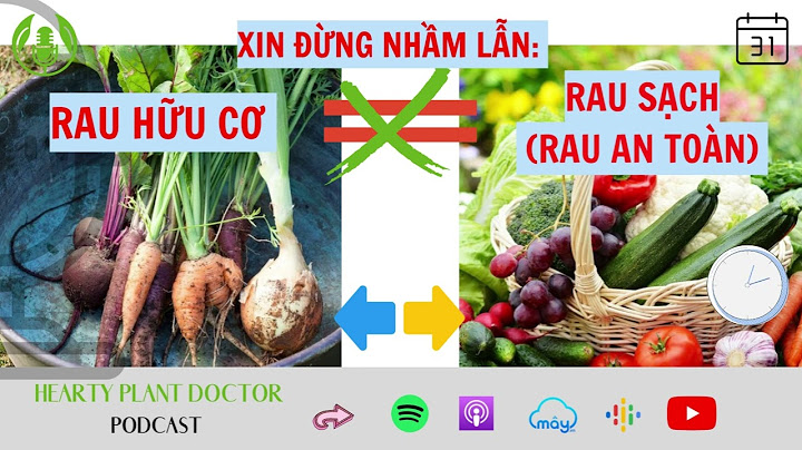 So sánh năng suất rau sạch và rau hữu cơ năm 2024