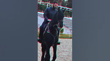 يا شيخ الزلم الرئيس أحمد الشرع حفظه الله سوريا تركيا قطر السعودية 
