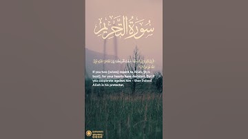 سورة التحريم آية ٤ | ﴿ إن تتوبا إلى الله فقد صغت قلوبكما ﴾ | Surah At Tahrim Ayah 4
