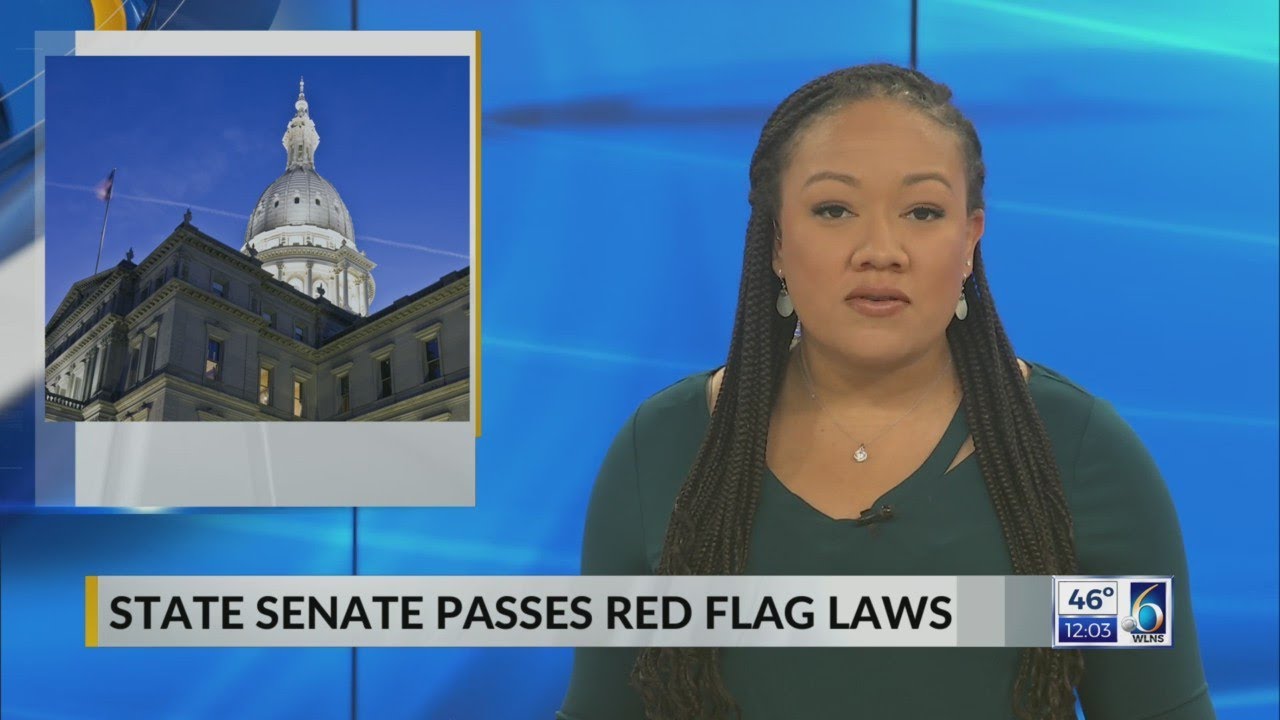State Senate Passes Red Flag Laws - YouTube