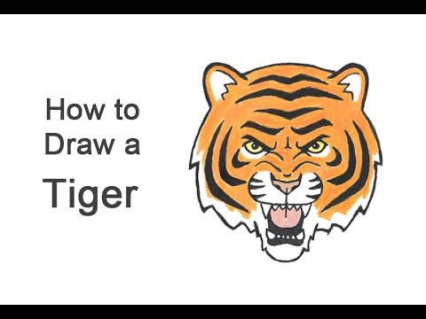 How To Draw A Tiger Head Cartoon Youtube