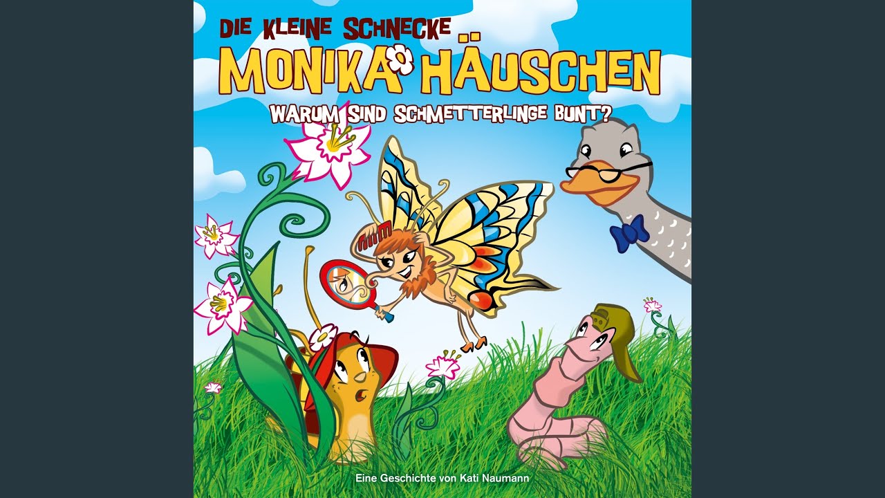 Warum sind Schmetterlinge bunt? - Titel 05 - YouTube