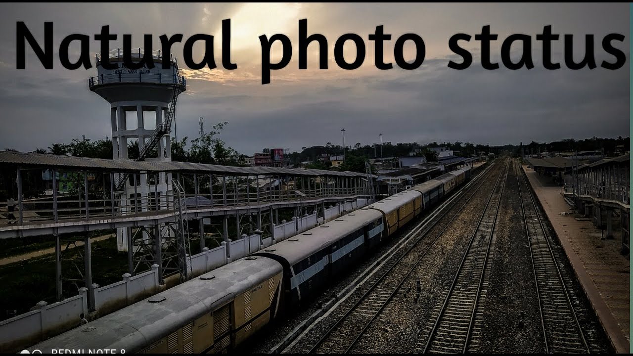New nature whatsapp status 2021🌲#Little do you know song #youtubeshorts  #shorts