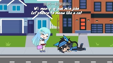 Xiao Pan Pan and Xiao Feng Feng – Learn to Meow (short+lyric) 🐱Gacha Life🐱