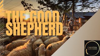 John 10:1-18 The Good Shepherd