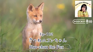 Japanese Podcast | EP-102 Kon-chan the Fox🦊 - YouTube