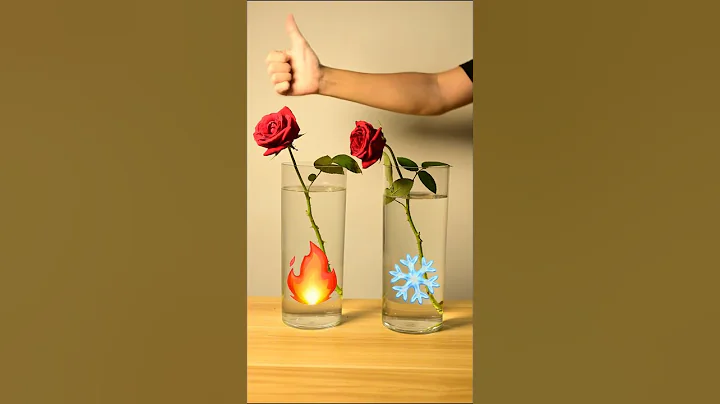 Hot water brings flowers back to life