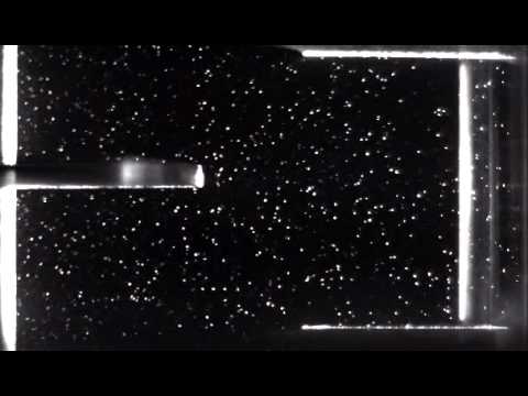 RDC Extraction Column, Particle Image Velocimetry (PIV)