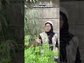ketika negara Indonesia kaya dengan sumber daya nya#comedy#lucu#shortvideo#short