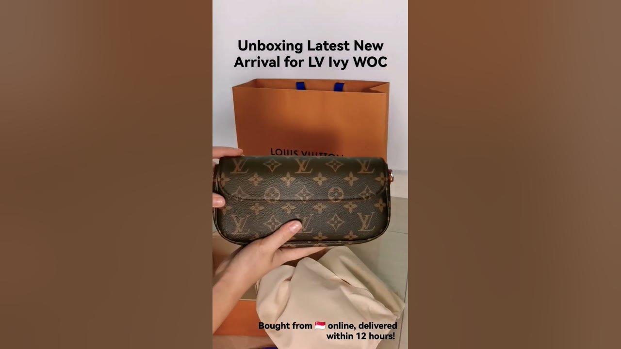 Louis Vuitton Ivy WoC  Two Week Review 