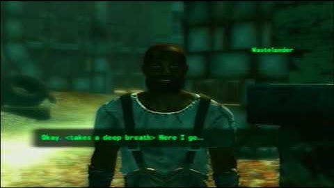 Fallout 3 - Stupid Wastelander