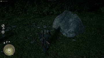 RedM Treasure Hunt with Metal Detector