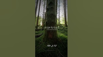 قران كريم ارح قلبك وسمعك #قران_في_دقيقة #quran #قران @قران_في_دقيقة