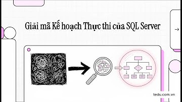 Bí Quyết Tối Ưu Hóa SQL Server: Giải Mã Execution Plan, Index và Chiến Lược Nâng Cao Hiệu Suất