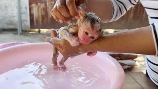 Mom Hair Washing For Lil Newborn Baby Like Newborn Human Baby