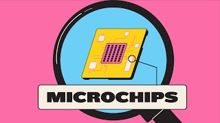 The Uncertain Future of Microchips