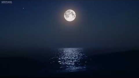 Sleep Music for 8 Hours • Ocean Waves, Fall Asleep Fast, Relaxing Music, Sleeping Music #138