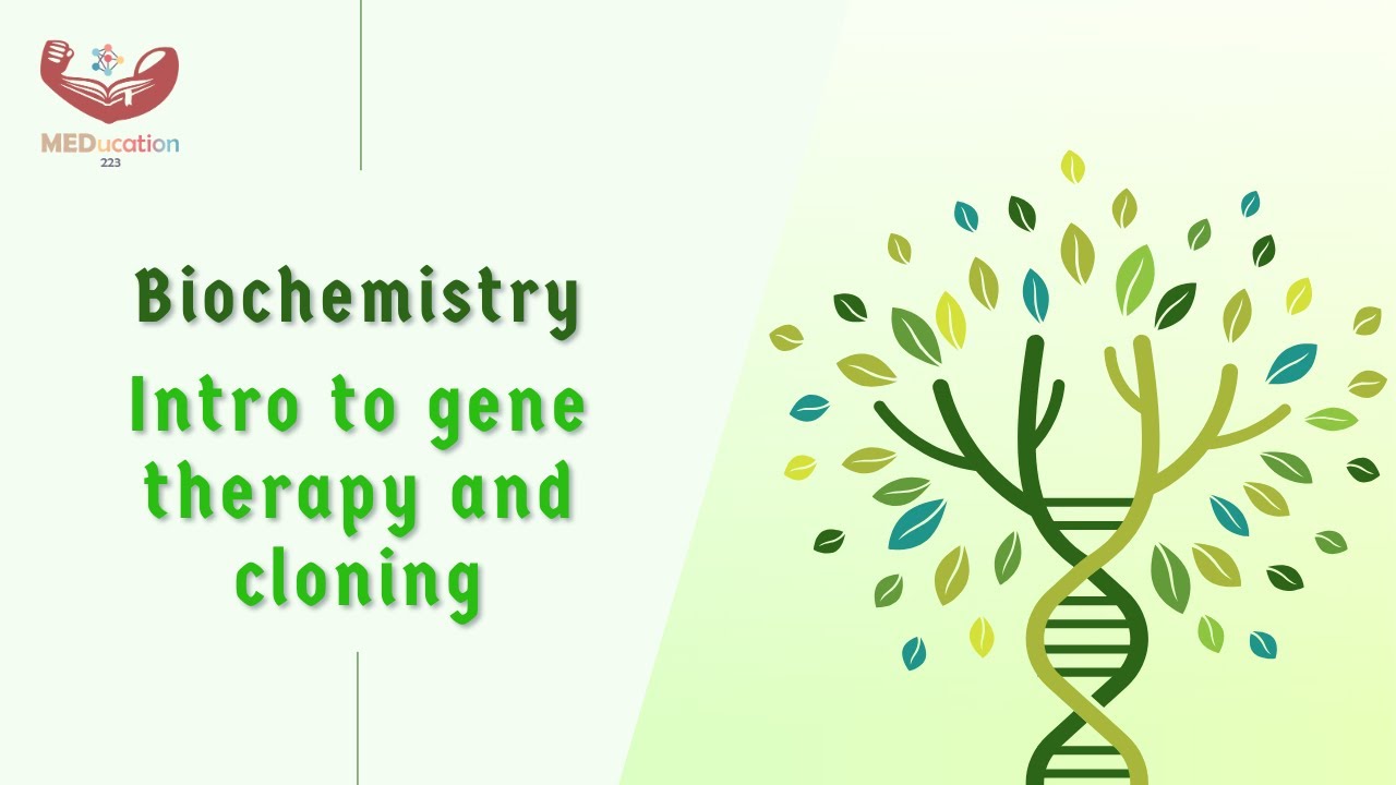 Biochemistry intro to gene therapy YouTube