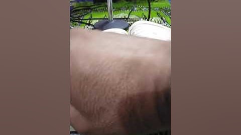 آل عمران (٣٣-٤٦) القارئ عصام العبيدي