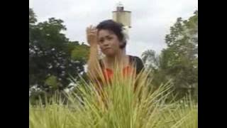 PURUN BANAR - Raihana.DAT