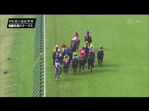 2024.4.20福島牝馬ステークスでの落馬事故