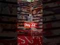 Day 22 pokemon Christmas holiday calendar #pokemon #christmas #holiday #pikachu