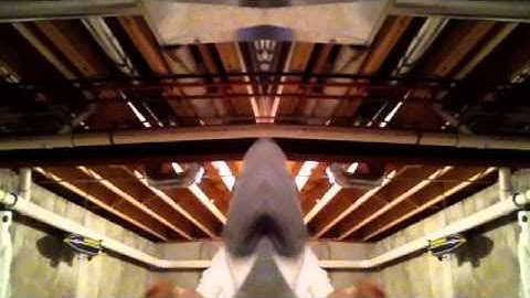 "I Question Mark (A Short Film Directed By Wade Robson)" Fan Video