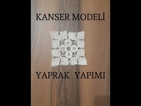 Kanser modeli yaprak yapımı