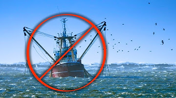 QUIEREN PROHIBIR la pesca de arrastre en todo el MUNDO